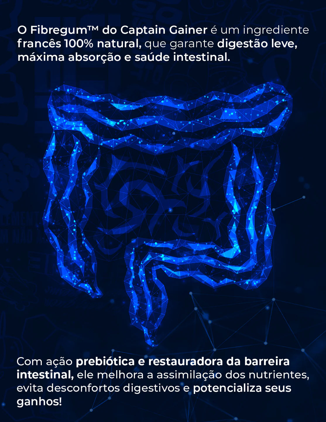 CAPTAIN GAINER - O HERÓI DOS FRANGOS 3kg • 20 DOSES • UNDER LABZ